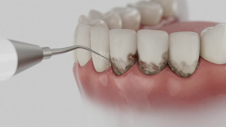 Reliable Dental contractor in Hampton, VA by Dentist Open Now